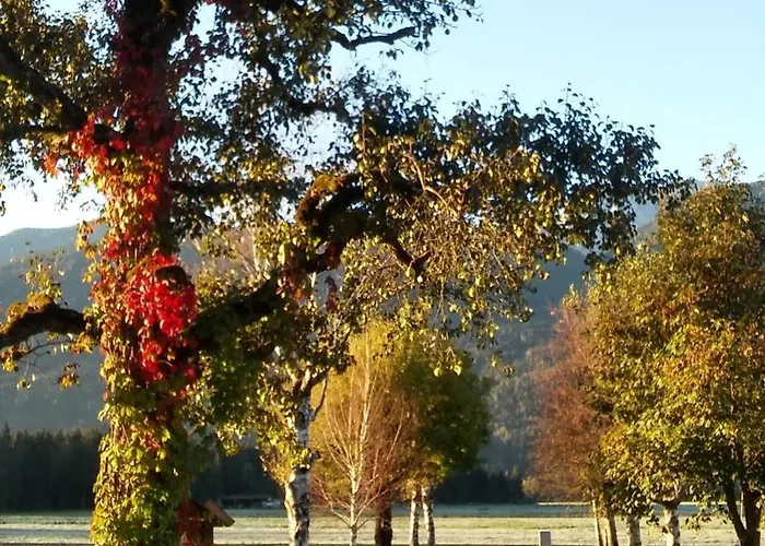 木屋 Mobile Homes Reiter *